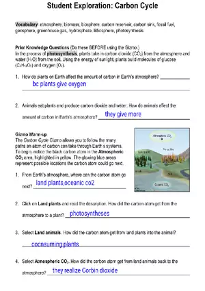 Student Exploration: Carbon Cycle