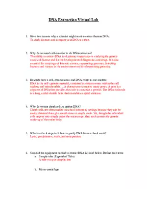 DNA Extraction Virtual Lab