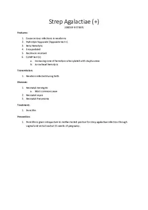 Strep Agalactiae (+)