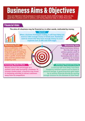 Business Aims and Objective