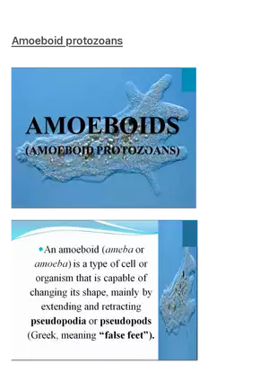 Amoeboid Protozoans