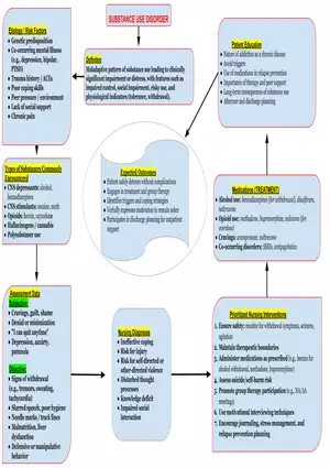 Substance Abuse Concept Map