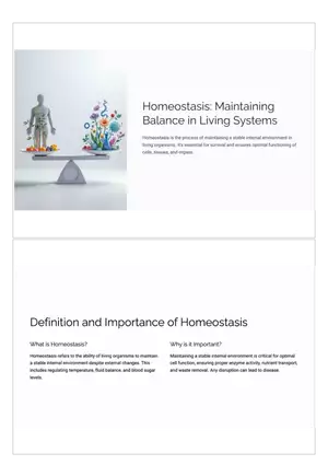 Homeostasis: Maintaining Balance in Living Systems