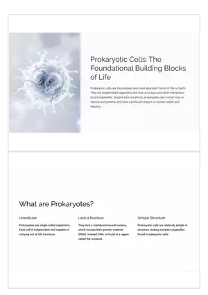 Prokaryotic Cells