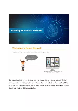 Working of a Neural Network