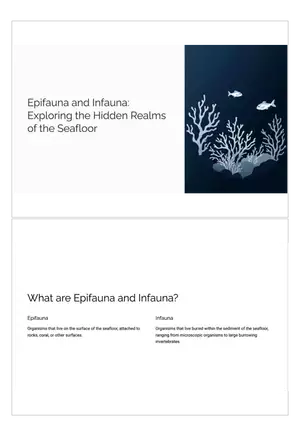 Exploring the Hidden Realms of the Seafloor