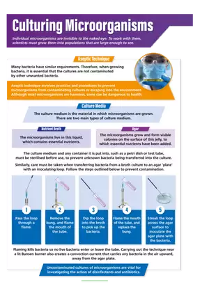 Culturing Microorganisms