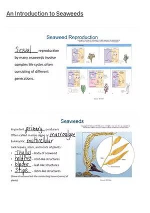An Introduction to Seaweeds