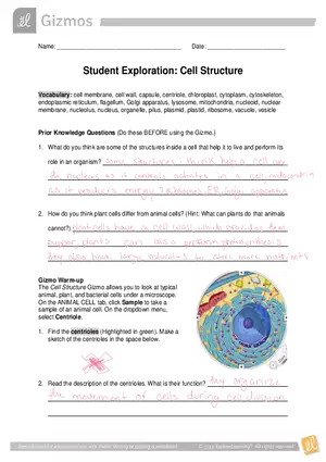 Gizmo Answers: Cell Structure