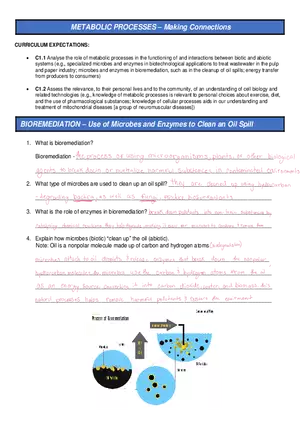 Metabolic Processes - Making Connections Questions