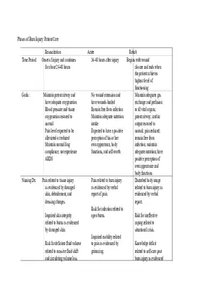 Phases of Burn Injury