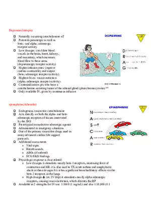 Assessment of Cardiovascular Function Part 4