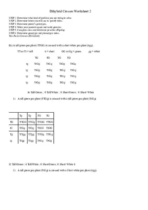 Dihybrid Crosses Worksheet