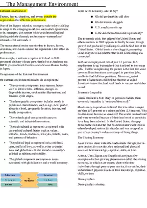 Business and Management (Management Environment)