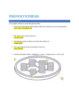 Chapter 8 Photosynthesis Class Activity Notes