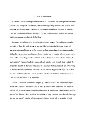 School Shooting Essay