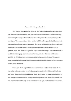 Argumentative Essay on Gun Control