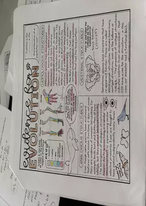 Evidence for Evolution Short Notes