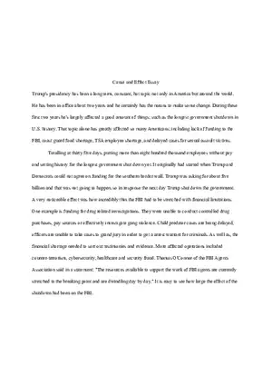 Cause and Effect Essay