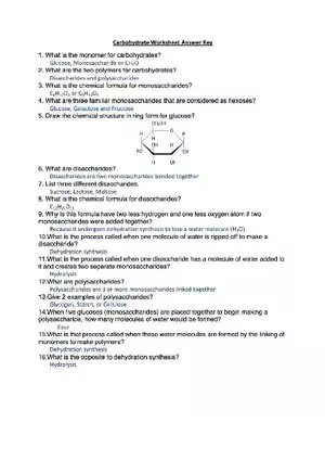 Carbohydrate Worksheet Answer Key