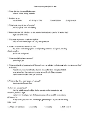 Protists (Eukaryotes) Worksheet Answers