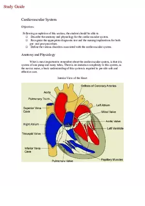 Cardiovascular System Part 1