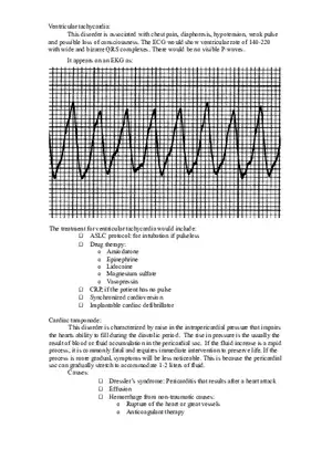 Cardiovascular System Part 2
