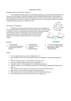 Respiration of Yeast