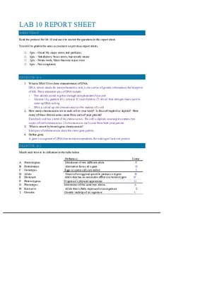 DNA, Chromosomes, and Genes Lab Report