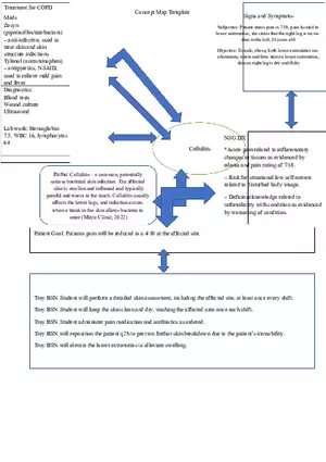Clinical Concept Map - Cellulitis