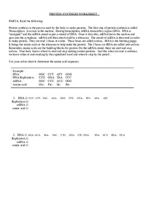 Practice Test on Protein Synthesis Worksheet