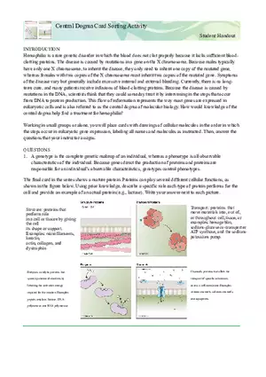 Understanding Hemophilia - Potential Treatments through the Central Dogma of Molecular Biology