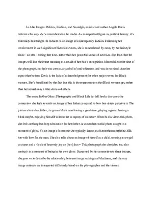 Angela Davis and the Misuse of Imagery