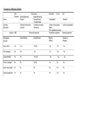Completed Business Entity Comparison Chart