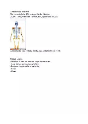 Appendicular Skeleton Study Guide