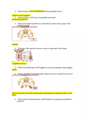 Mastering Assignment Anatomy