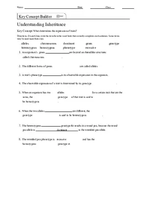 Understanding Inheritance Lesson Outline Answers