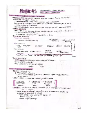 Psychology Module 45 - Developmental Issues, Prenatal Development, and Newborns