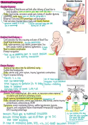 Chapter 21: Obstetrical Emergencies