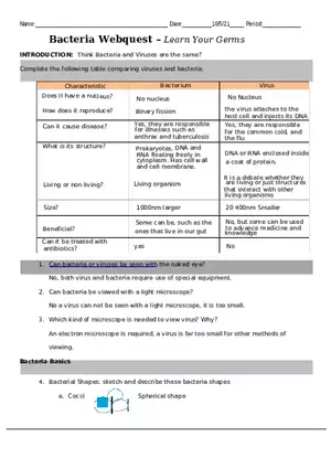 Bacteria Webquest