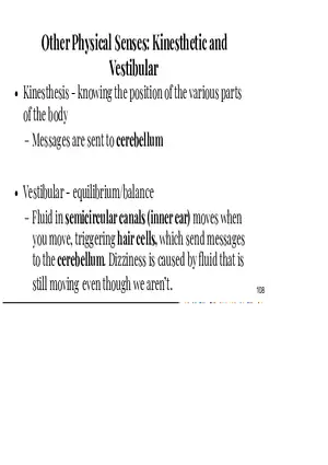 Unit 3 Other Physical Senses