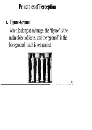 Unit 3 Principles of Perception
