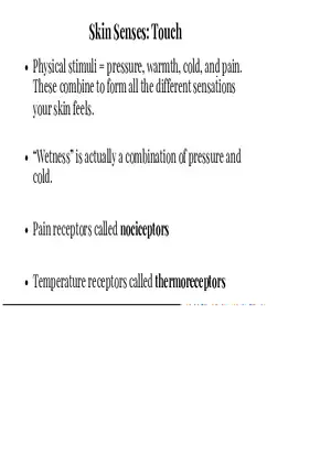 Unit 3 The Skin Senses