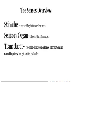 Unit 3 The Senses Overview