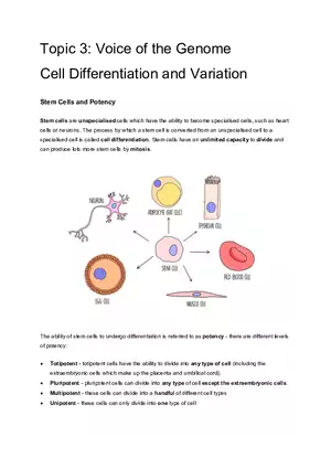 Topic 3: Cell Differentiation and Variation
