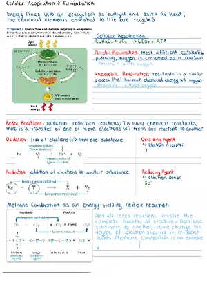 Cellular Respiration & Fermentation Notes