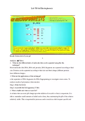 Lab 7B Gel Electrophoresis
