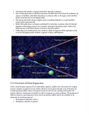 The Enzyme That Unwinds a Segment of the DNA Molecule Is