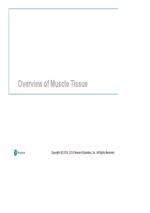 Lab 9: Muscle Physiology and Introduction to the Muscular System
