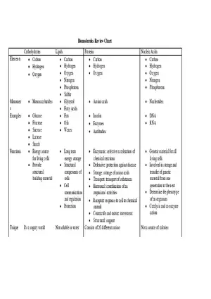 Biomolecules Review Chart